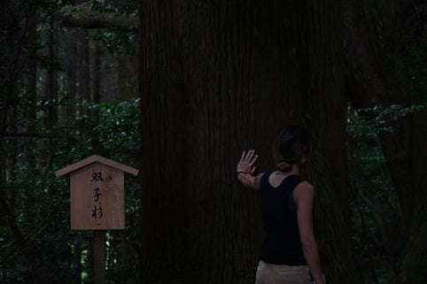 父を許すまでの心の旅路~母の死と精神的DVを乗り越えて~