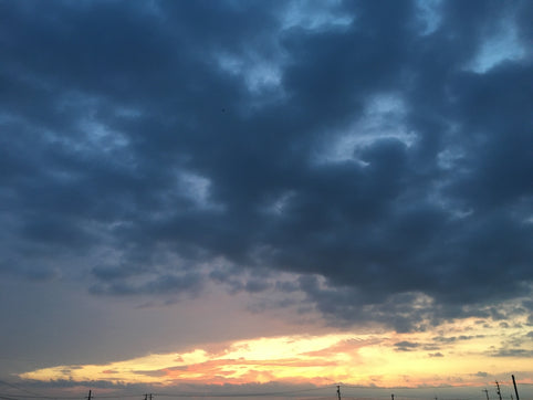FIOWに生きる