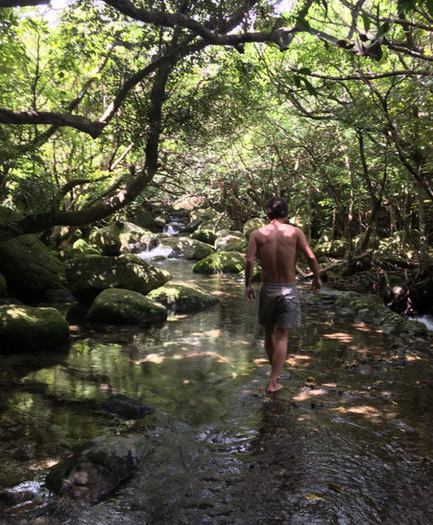 第一印象で「苦手」と感じるのは脳の仕組み。好き嫌いの判断は0.02秒で決まる