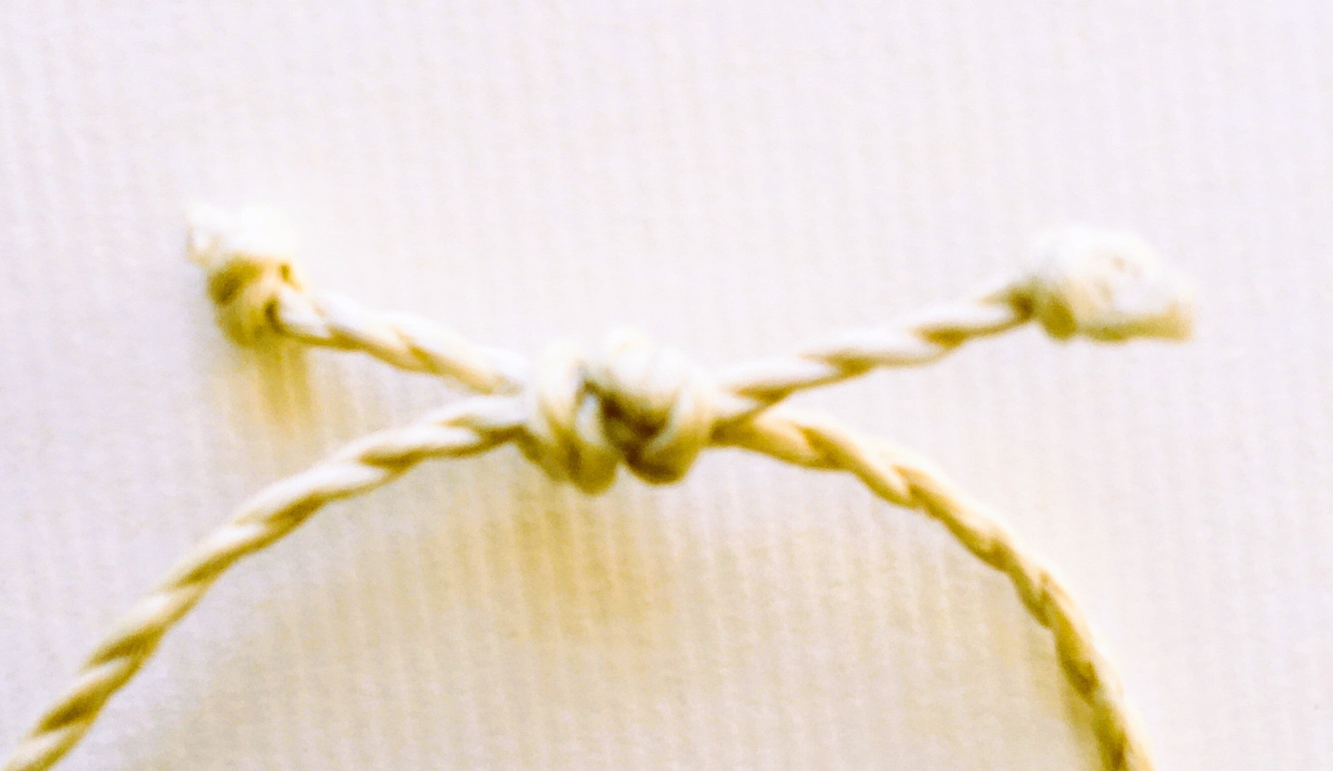 希少な野州麻の特等精麻のネックレス【太さ2mm】Rare Yashu Premium Seima Hemp Necklace ? 2mm